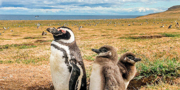 Explora Punta Arenas